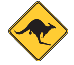 Coolangatta - Tweed Heads Skippycoin ICG